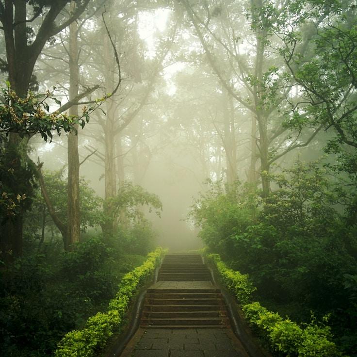 Protected areas snapshot